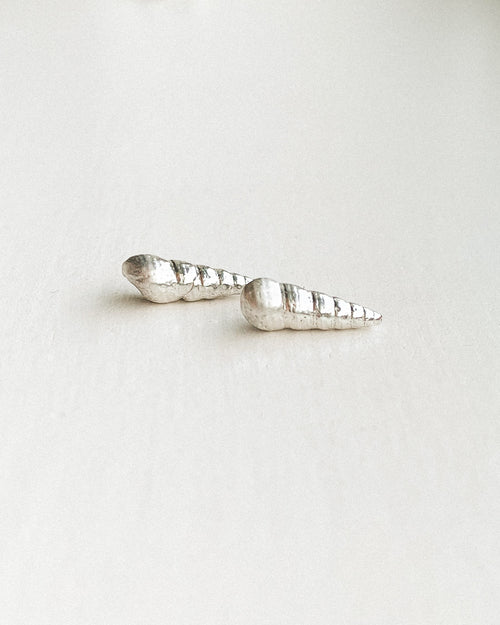 a set of small silver sea shell stud earrings shown on a white background