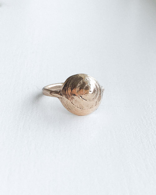 a small bronze sea shell ring, shown on a white background