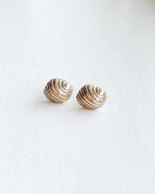 small bronze sea shell stud earrings shown on a white background