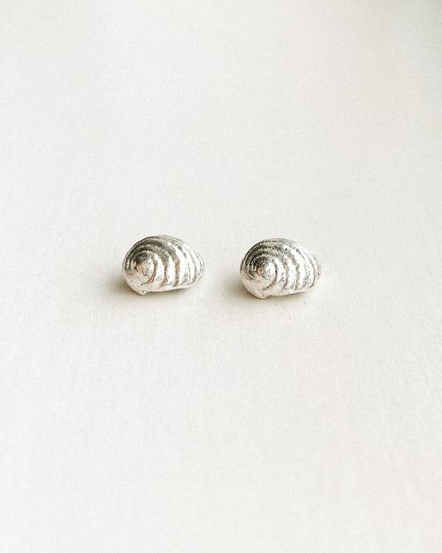 small silver sea shell stud earrings shown on a white background