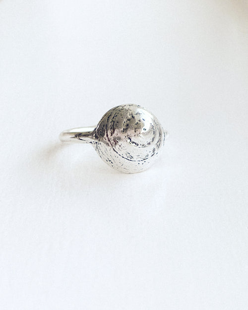 a small silver sea shell ring, shown on a white background