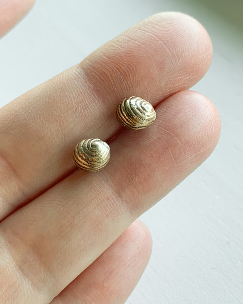 small bronze sea shell stud earrings held between two fingers