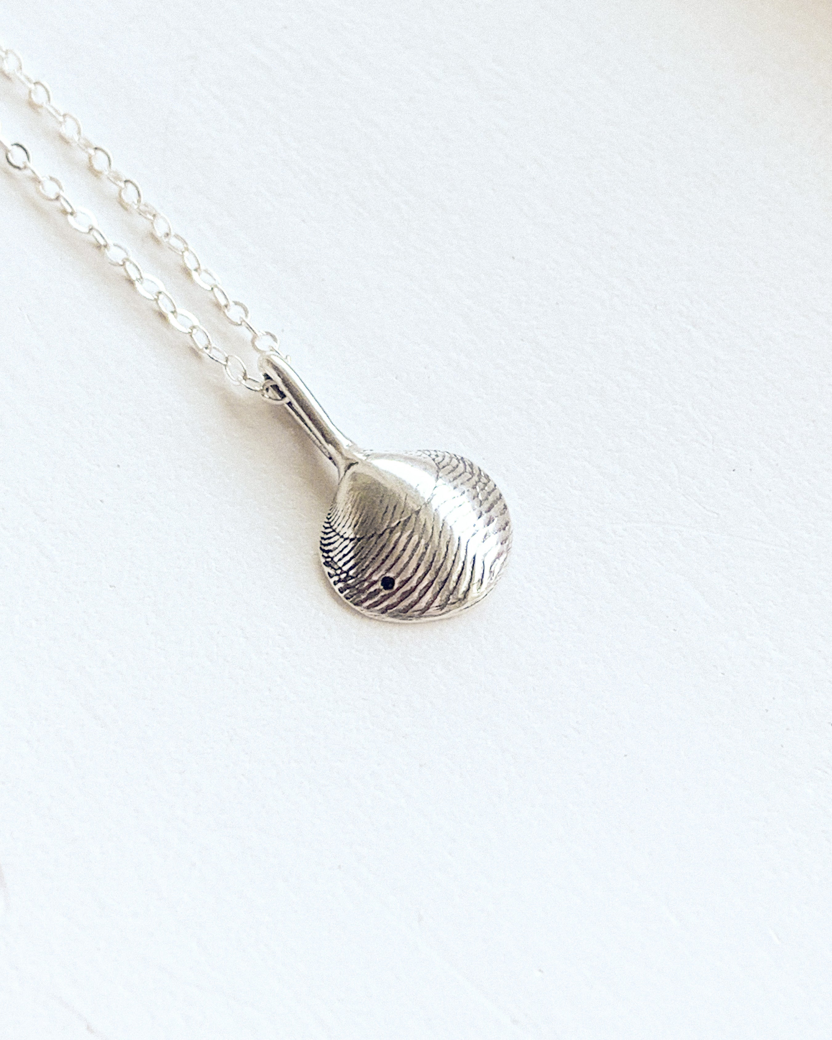 small silver clam shell pendant on a silver chain with a white background